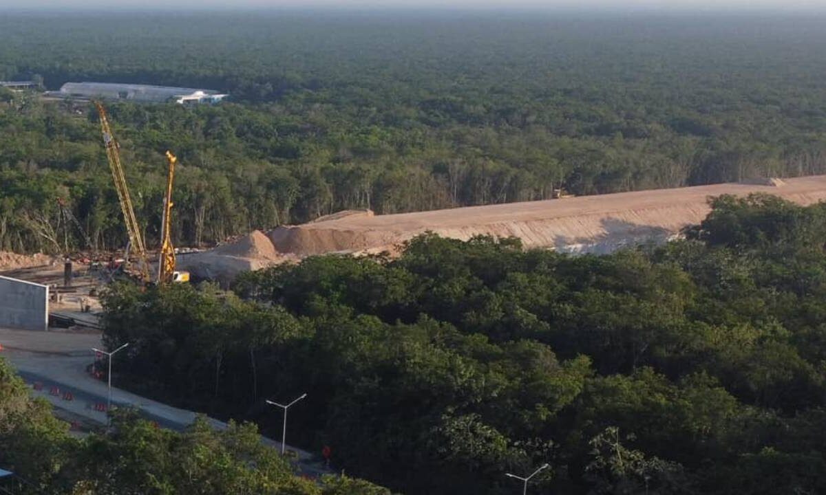 Toma aérea de la selva quintanarroense.