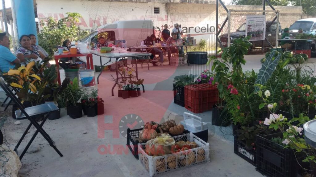 Chiquilá fue sede de evento agrícola.