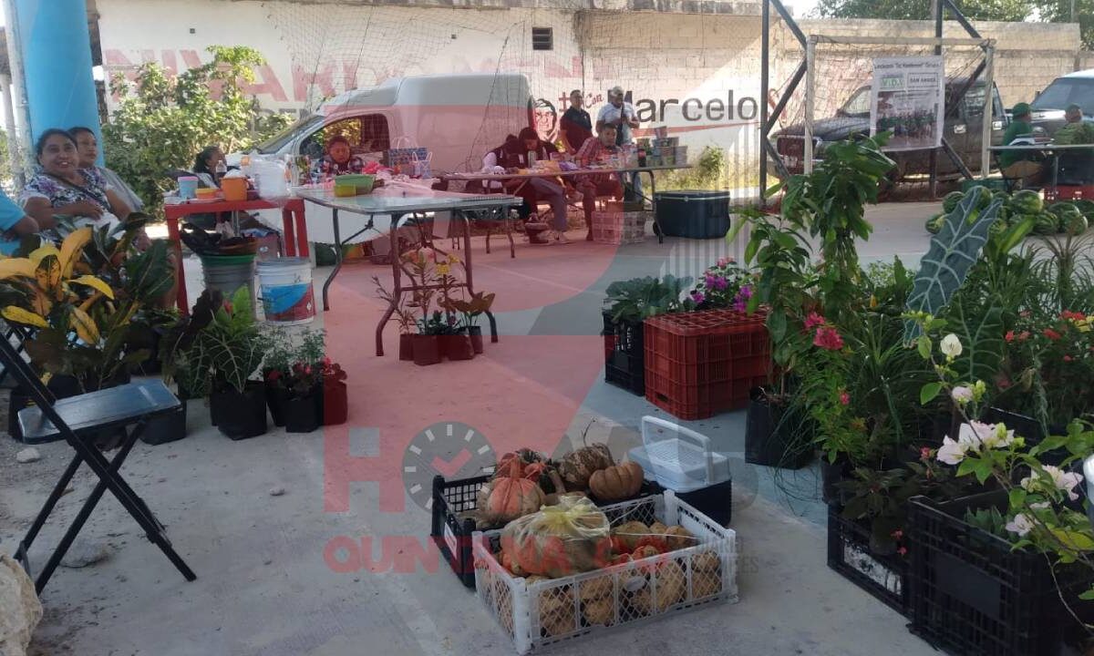 Chiquilá fue sede de evento agrícola.