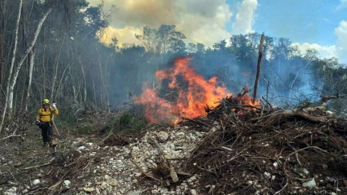Incendio forestal en Tulum.