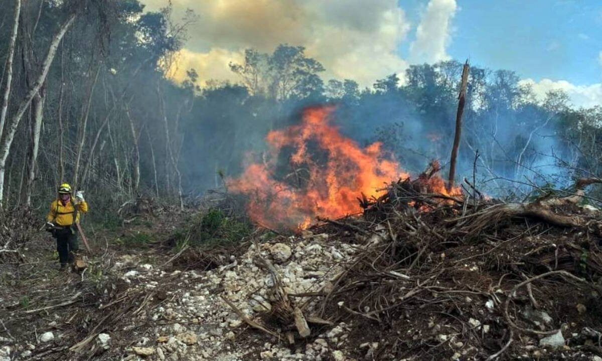Incendio forestal en Tulum.