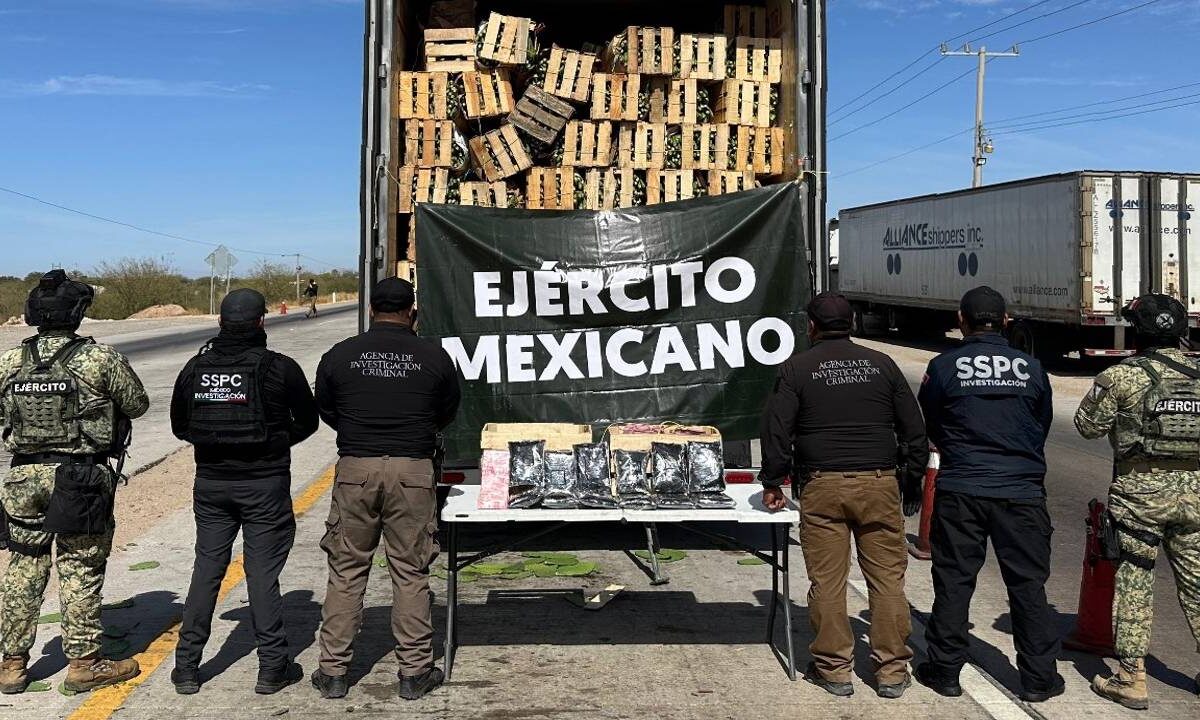 Aseguran fentanilo en Sonora.