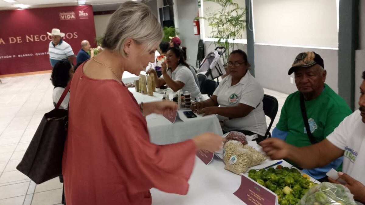 Mesa de Negocios en Othón P. Blanco.