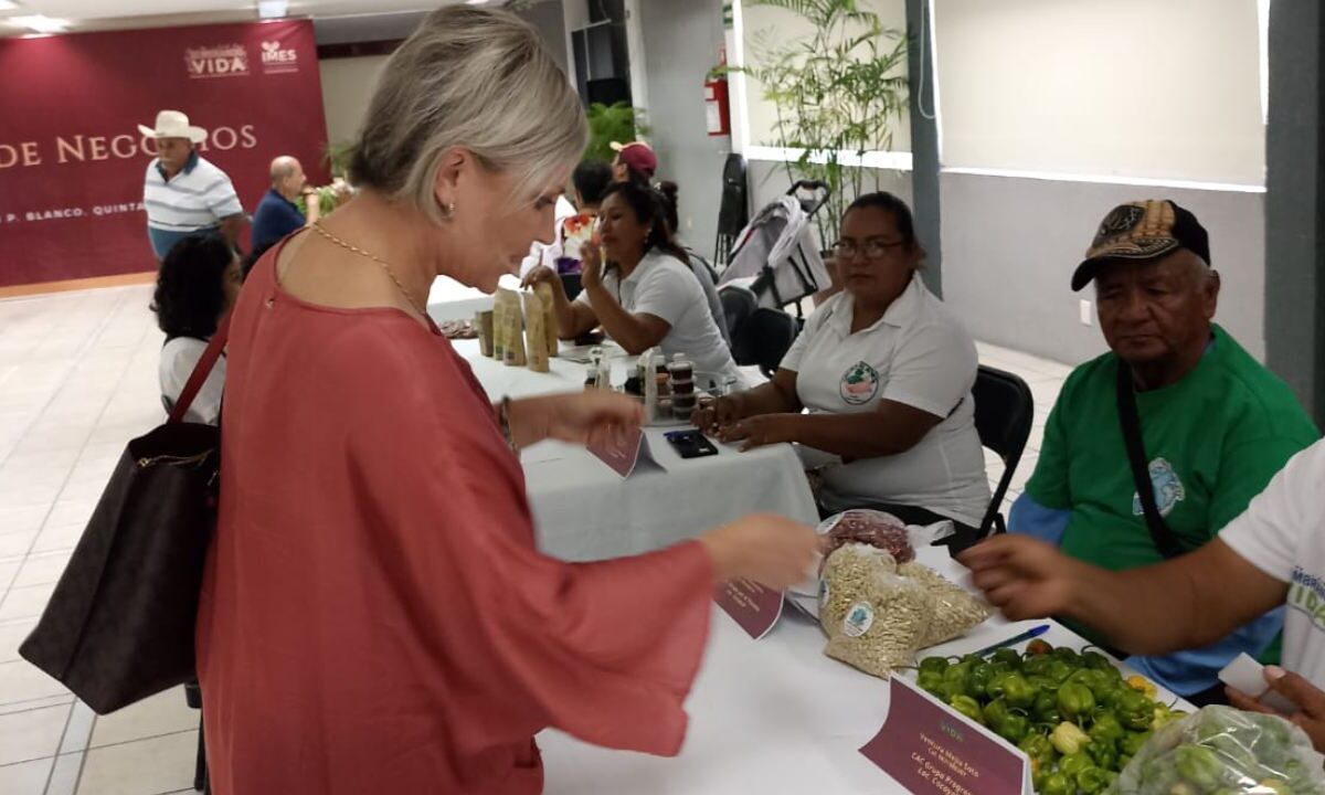 Mesa de Negocios en Othón P. Blanco.