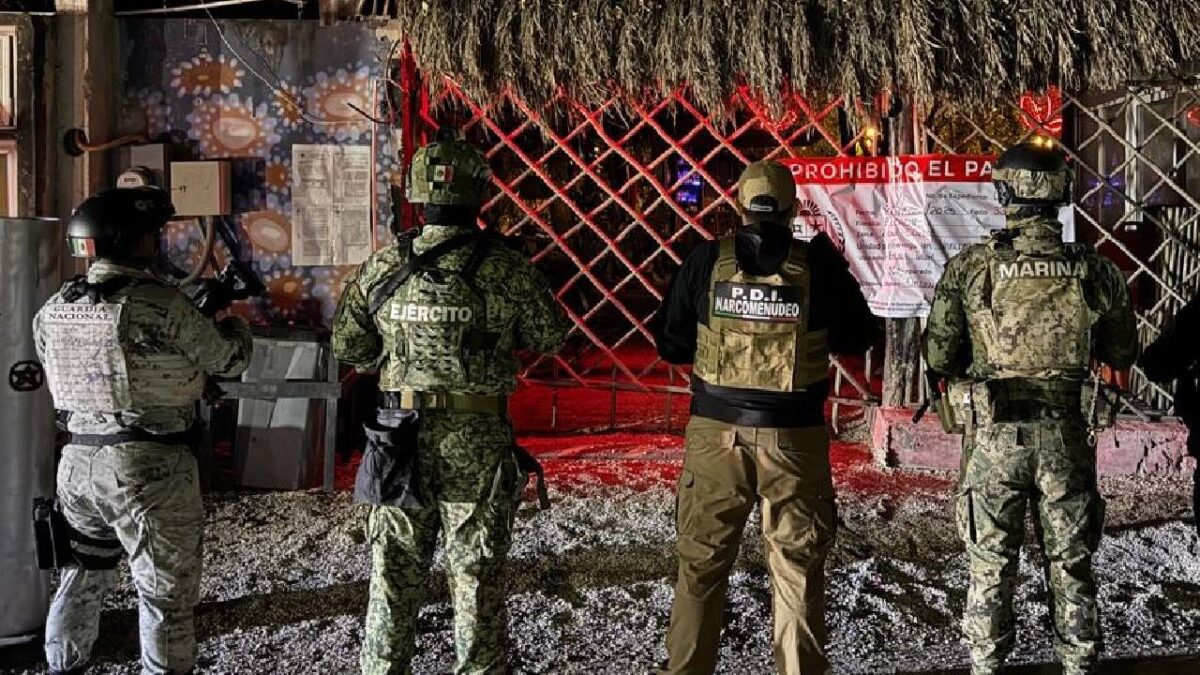 Los catos fueron en Tulum y Chetumal.