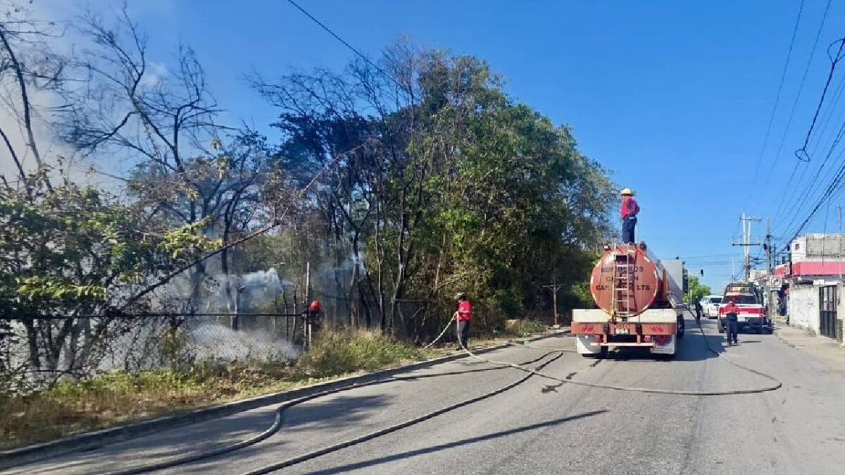 En Cancún se registró un incendio en un área verde.