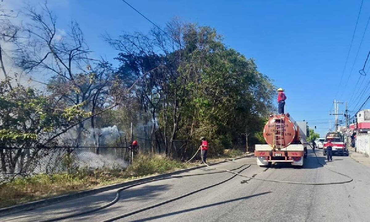 En Cancún se registró un incendio en un área verde.