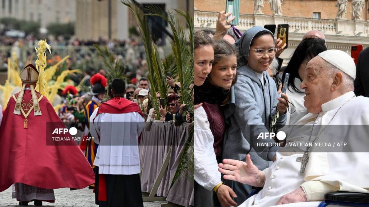 El Papa en el Domingo de Ramos.
