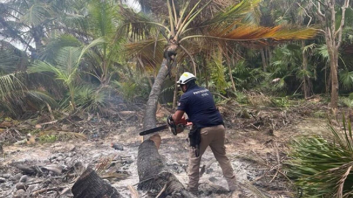 El incendio en Tulum ya fue controlado.