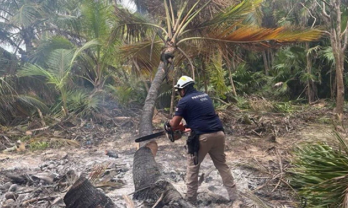 El incendio en Tulum ya fue controlado.