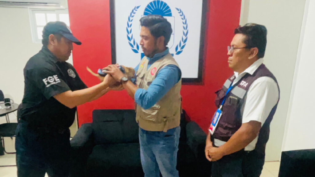 Indagan caso de maltrato animal.