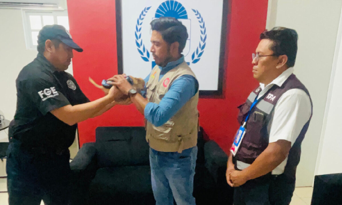 Indagan caso de maltrato animal.