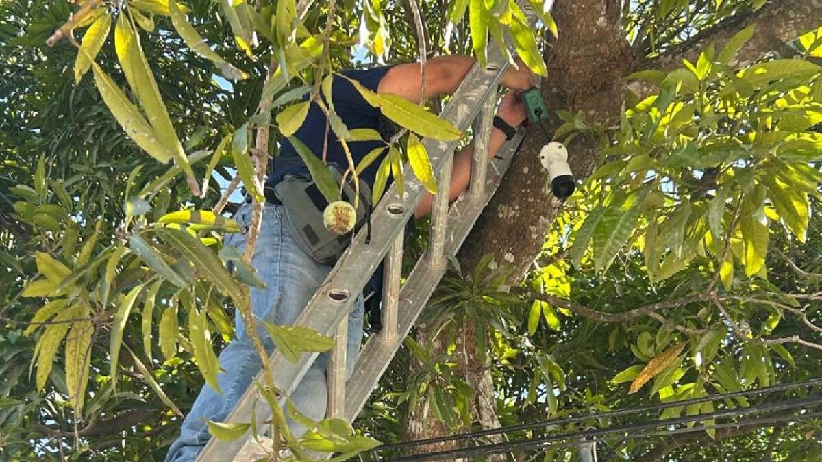 Vigilan la instalación de cámaras de videovigilancia.