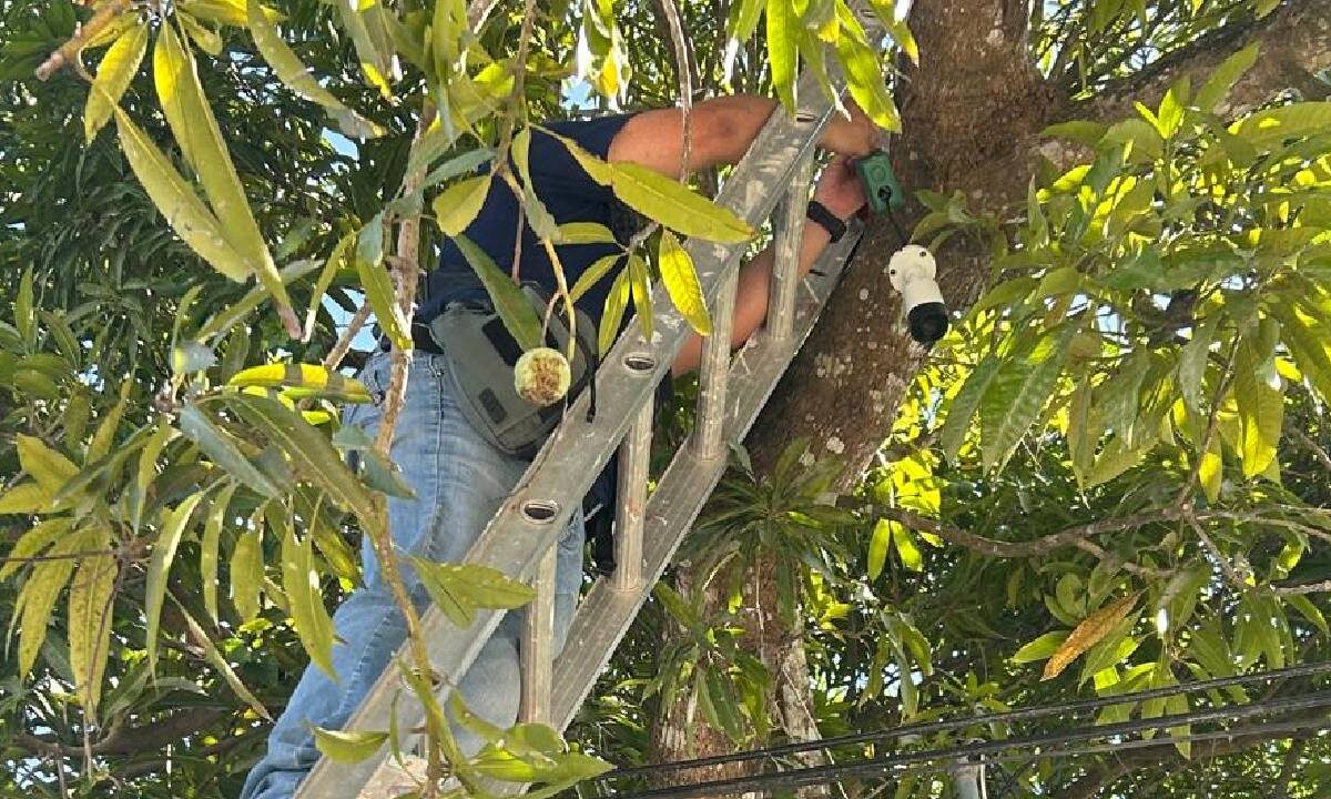 Vigilan la instalación de cámaras de videovigilancia.