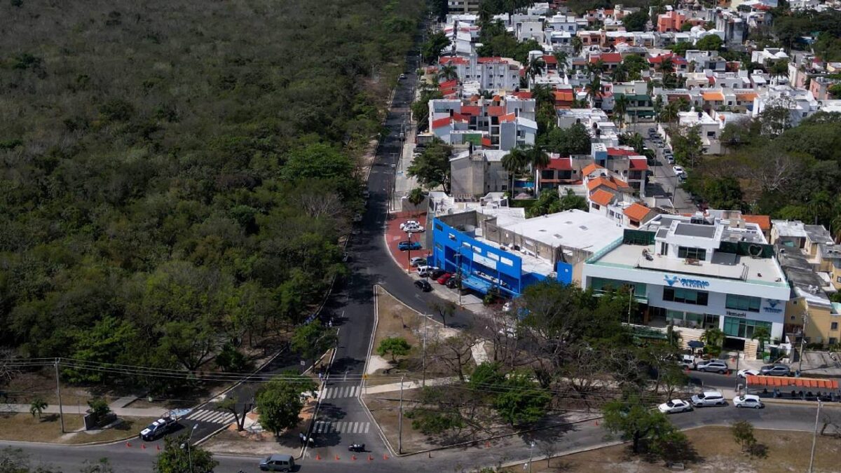 La avenida Del Bosque luce renovada.