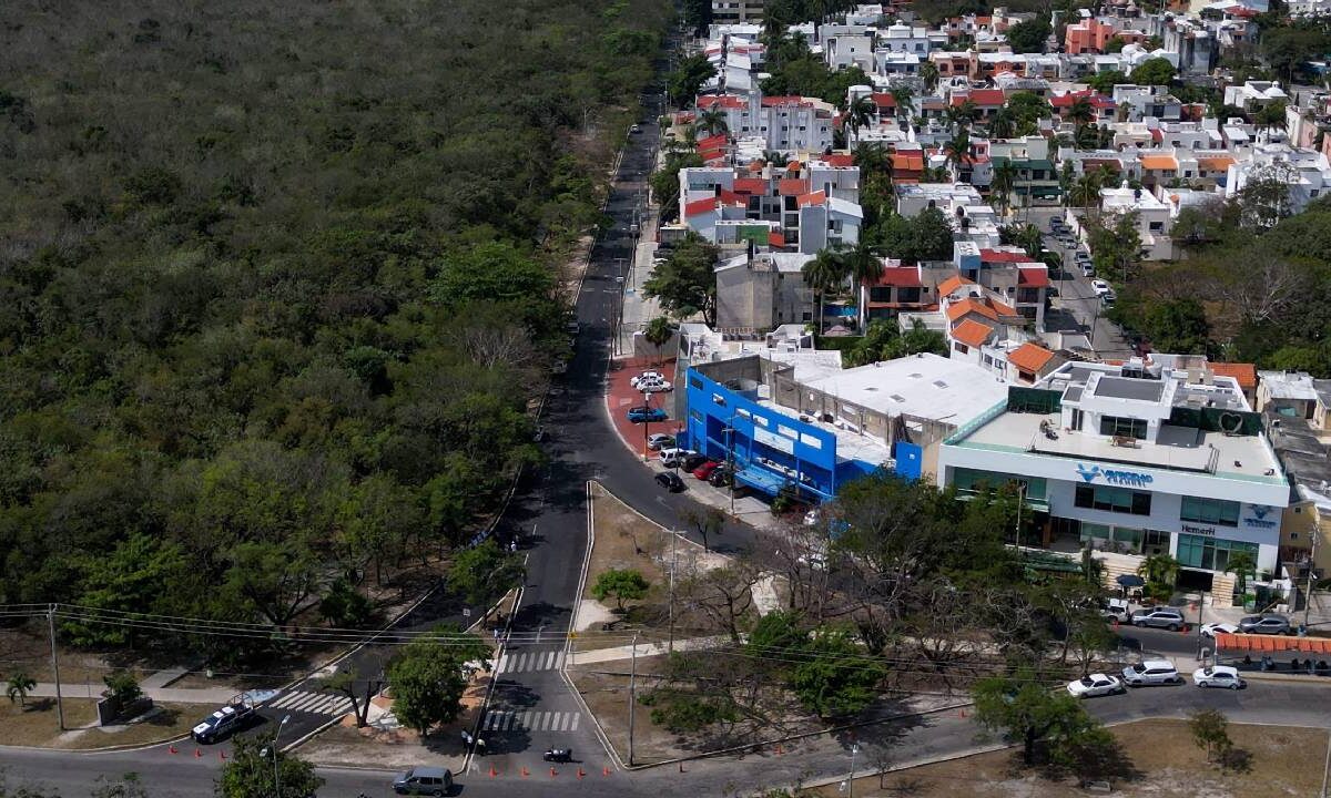 La avenida Del Bosque luce renovada.