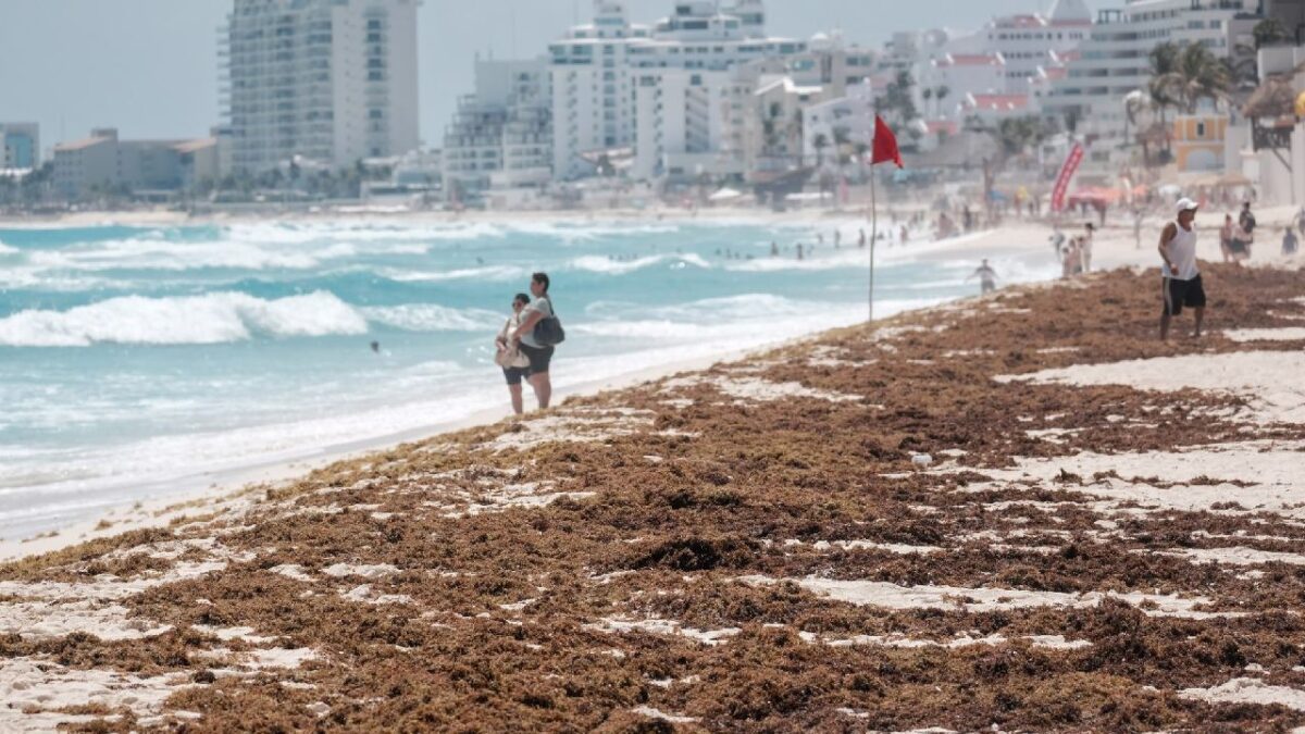 Sargazo en Cancún.