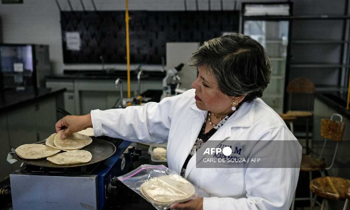 Adiós a la tortilla fría. Desarrollan una con más nutrientes.