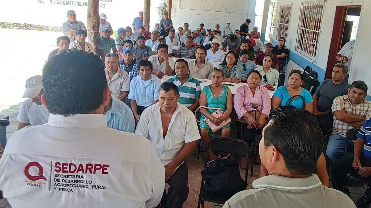 La apicultura en Quintana Roo es un sector productivo.