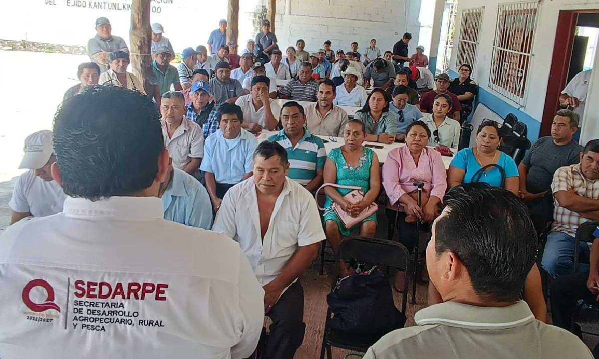 La apicultura en Quintana Roo es un sector productivo.