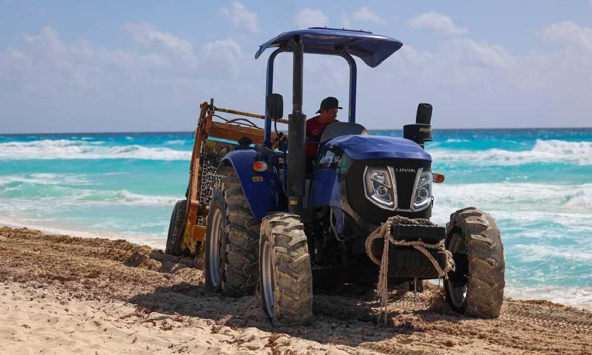 En Cancún se limpia el sargazo.