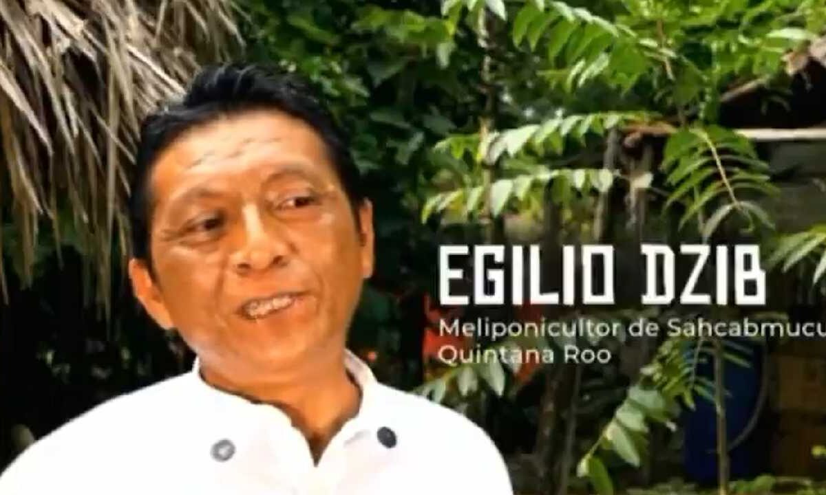 Homenajean a productrores de miel melipona.