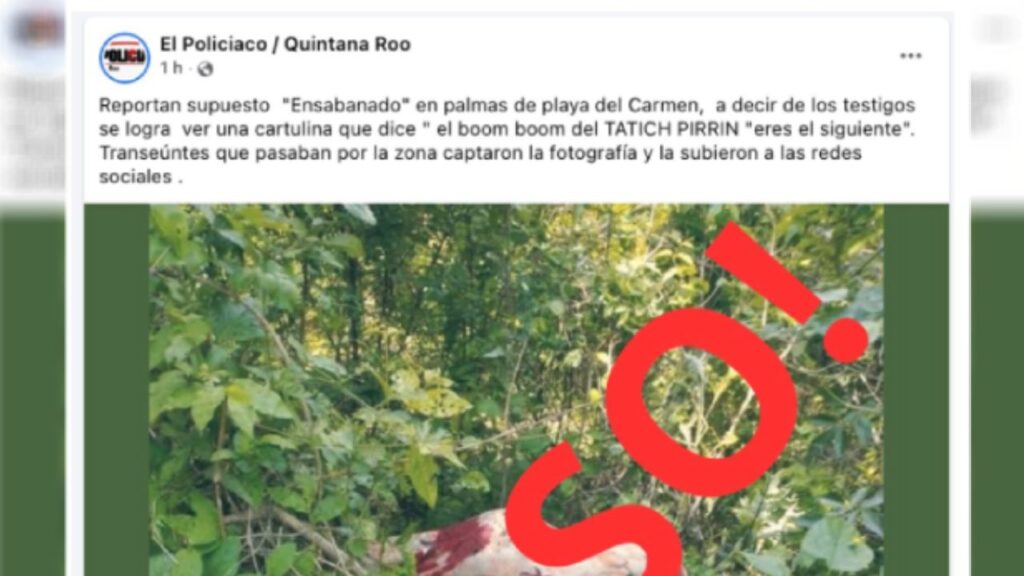 Últimas noticias.