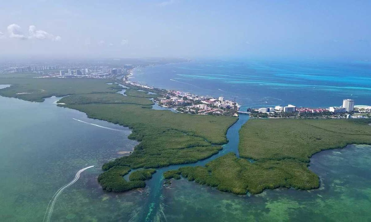 El gobierno de Benito Juárez comprometido con el medio ambiente.