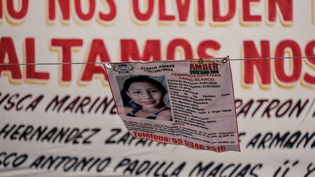 Ficha de búsqueda de María Fernanda Cayetano.