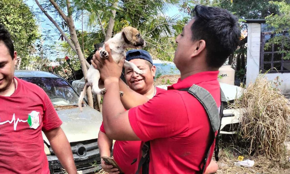 Bomberos de Cancún logran rescate.