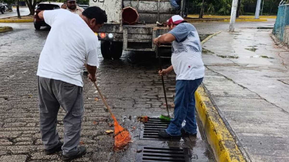 Las brigadas en acción.