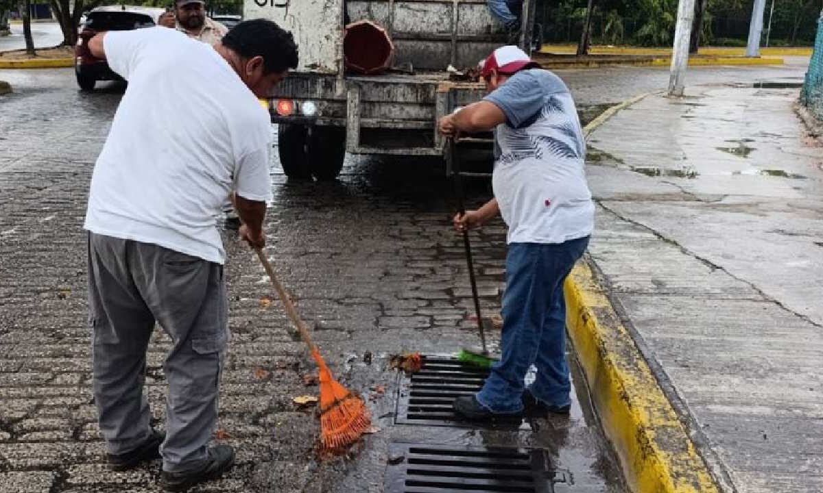 Las brigadas en acción.