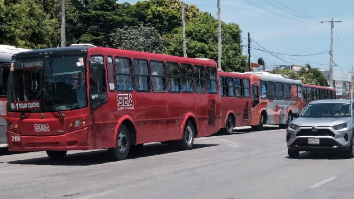 Autobuses del transporte público en Cancún.
