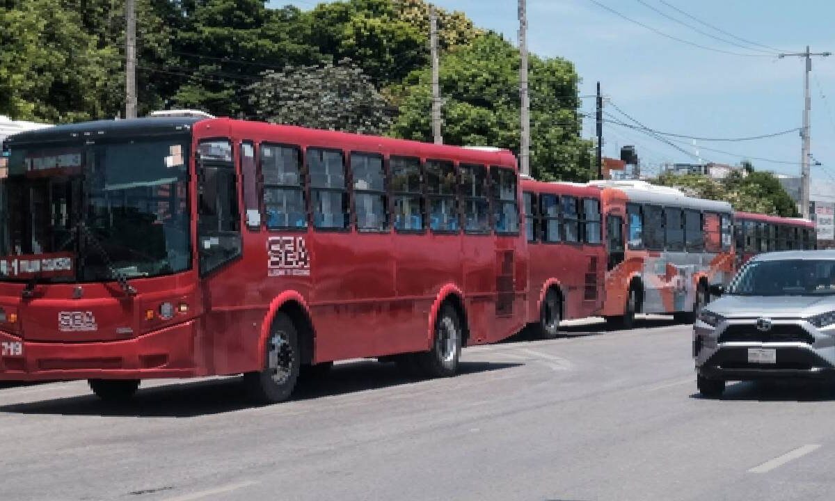 Autobuses del transporte público en Cancún.