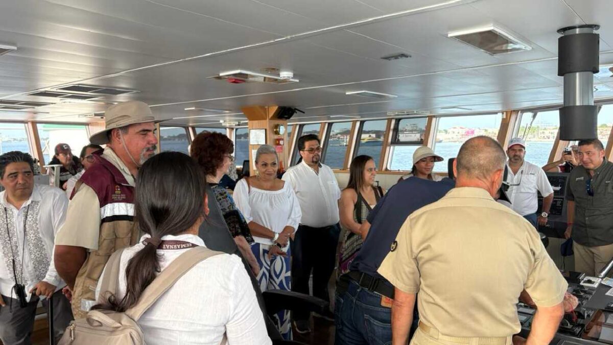 Buscan medidas para el sargazo en Quintana Roo.