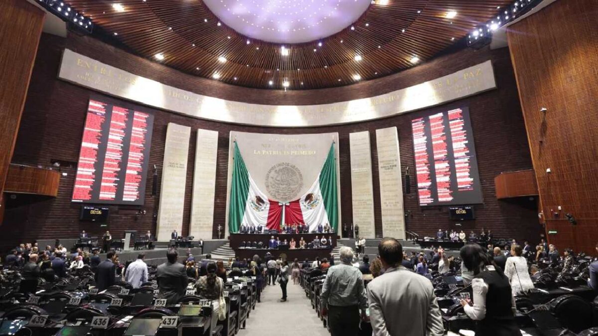 No más uso de mamíferos marinos.