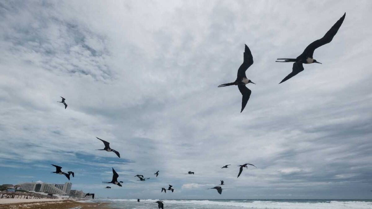 El clima será caluroso.