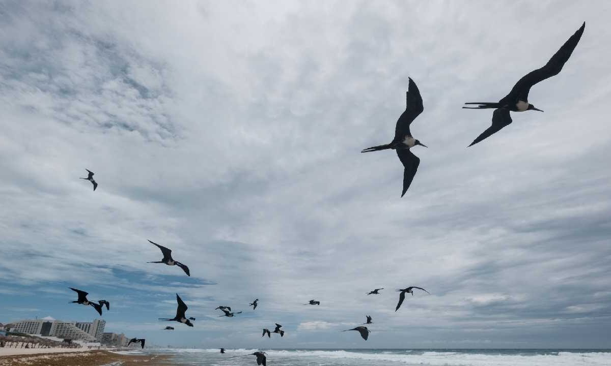 El clima será caluroso.