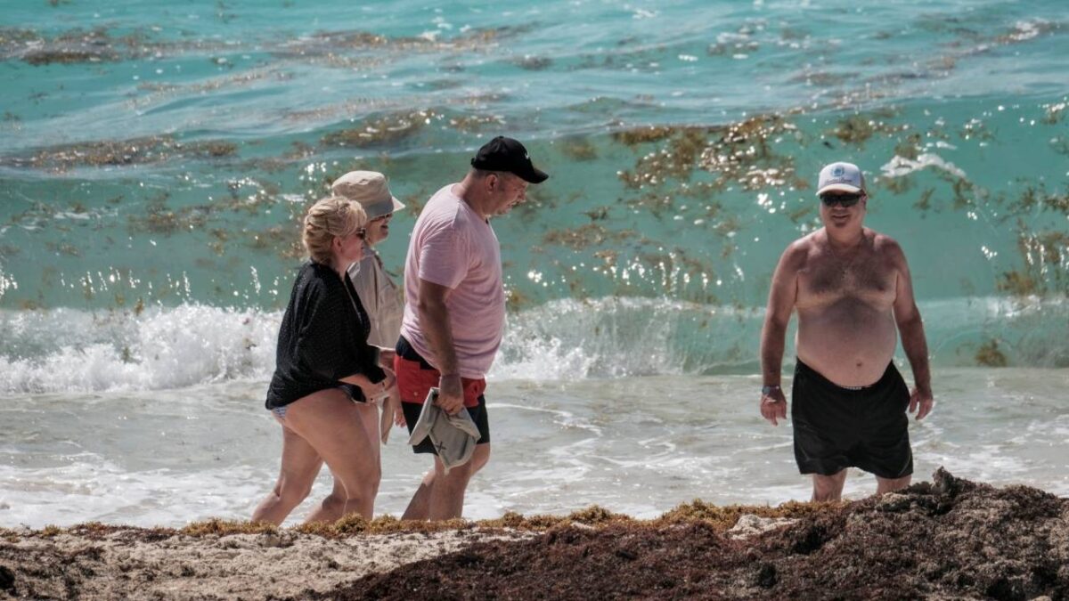 Recale de sargazo en el Caribe mexicano.