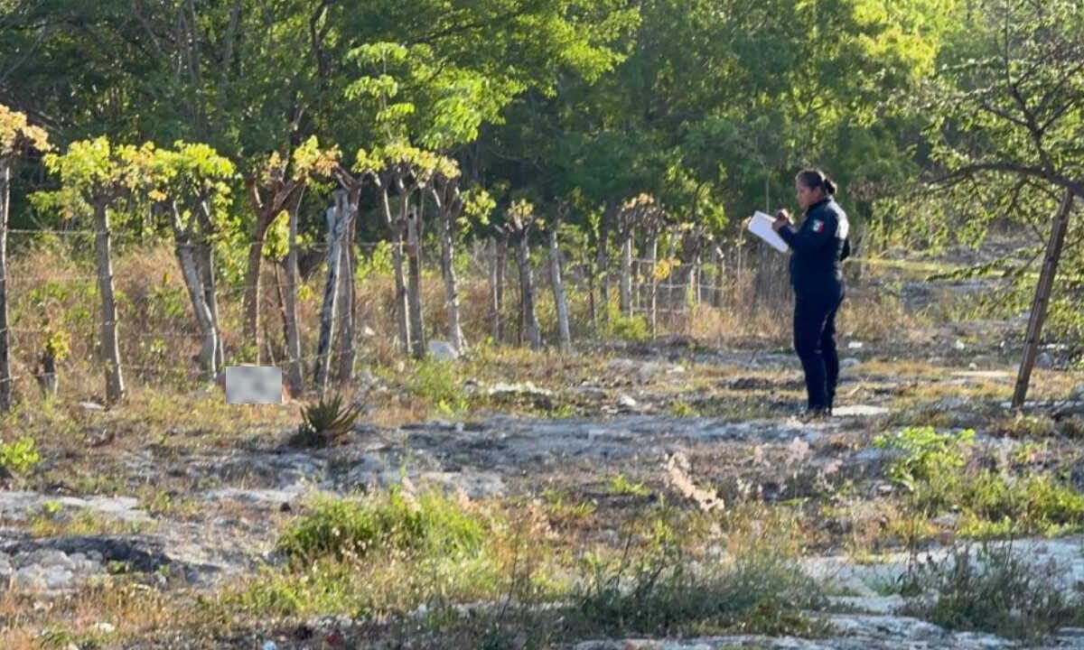 Últimas noticias. Macabro hallazgo en Cancún.