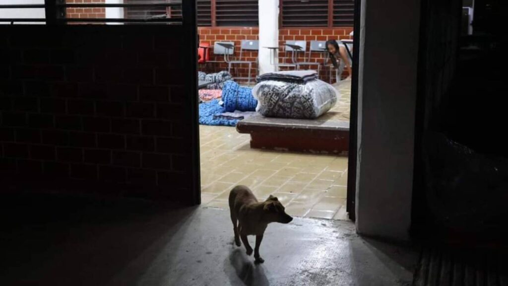 Refugio temporal en Quintana Roo.