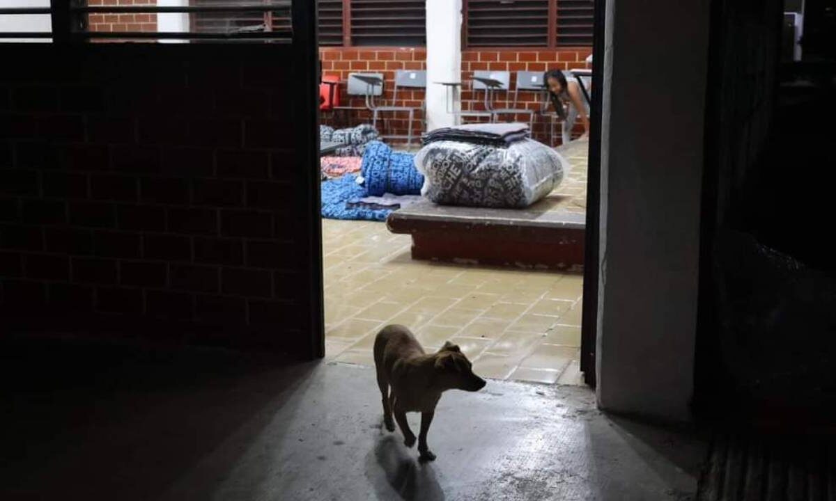 Refugio temporal en Quintana Roo.