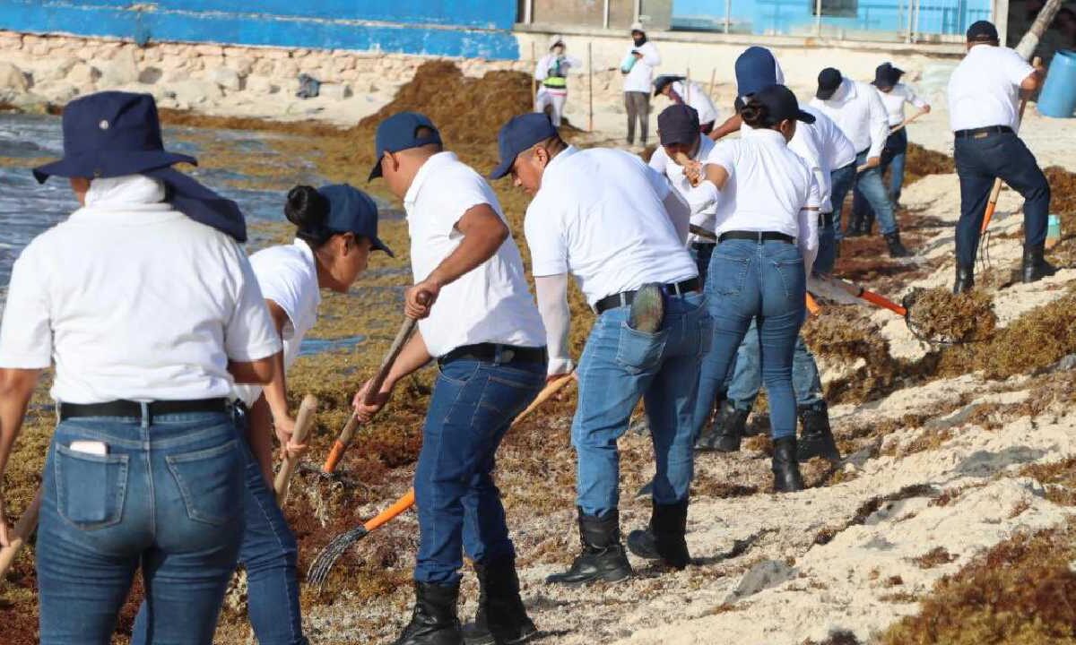 Aspirantes a policías retiran sargazo en Playa del Carmen.