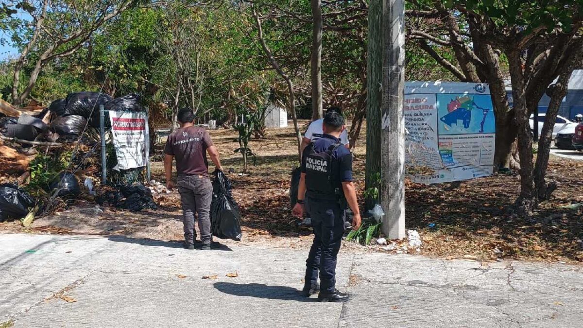 Las unidades verdes siempre activas.