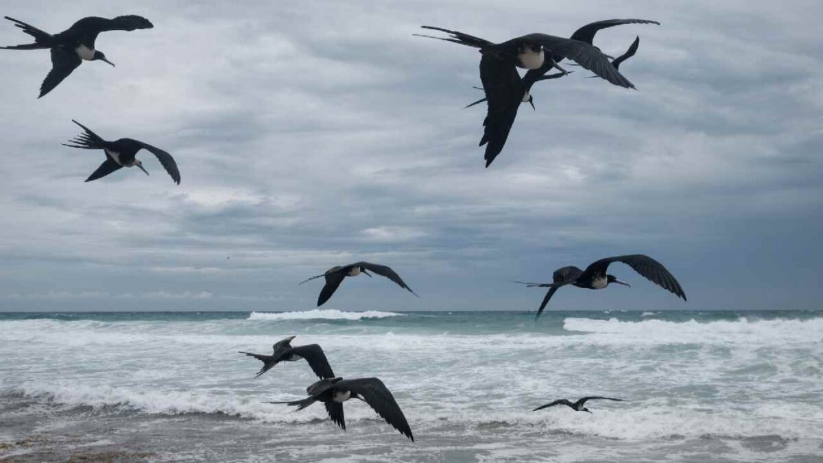 El clima en Quintana Roo se mantendrá caluroso.