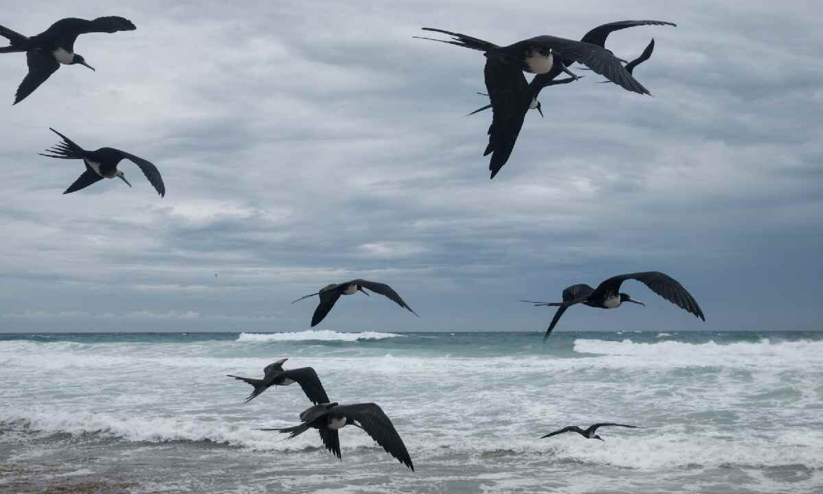 El clima en Quintana Roo se mantendrá caluroso.