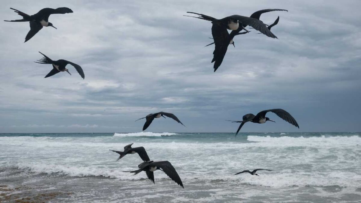 El clima en Quintana Roo seguirá caluroso este viernes.
