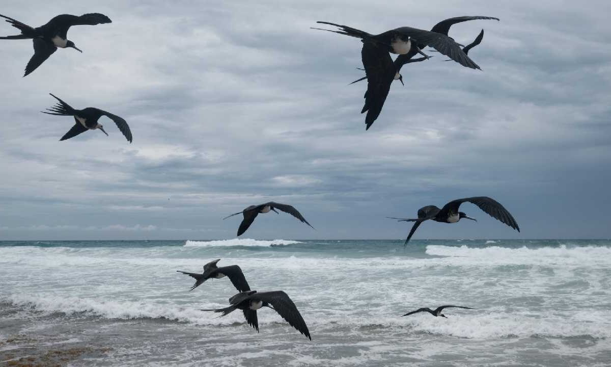 El clima en Quintana Roo seguirá caluroso este viernes.