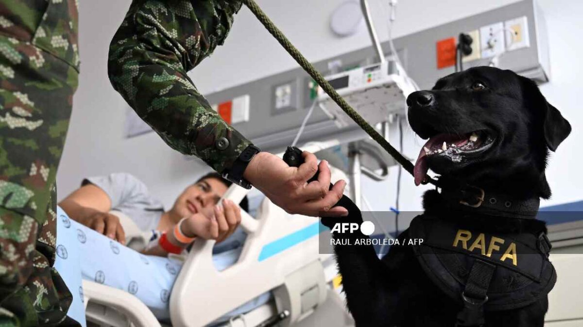 Colombia a la vanguardia.