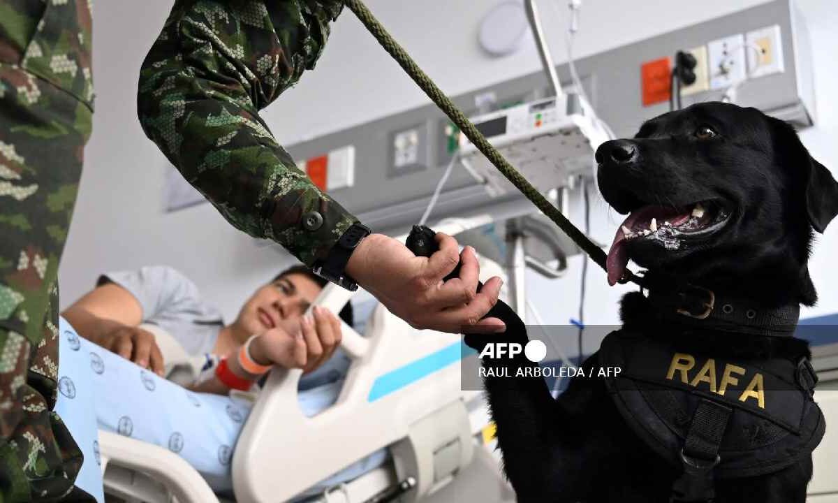 Colombia a la vanguardia.